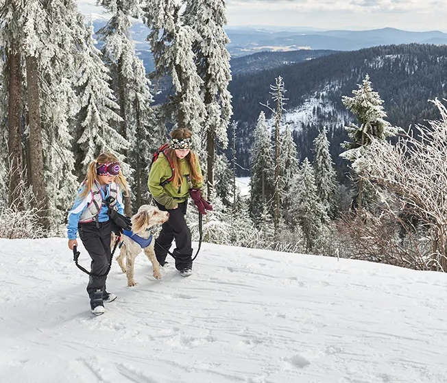 Schneewanderung mit Hund im verschneiten Bayerischen Wald Zwei Winterwanderer, ein Mädchen und eine Frau, gehen mit ihrem weißen Labradoodle durch die verschneite Bayerwaldregion.