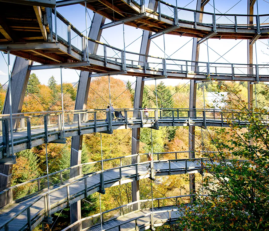 Spiralförmiger Aufgang des Baumwipfelpfades Die spiralförmigen Holzbrücken bieten einen Blick von verschiedenen Ebenen auf die bunten Blätter der Herbstbäume und die Naturwelten im Hintergrund.
