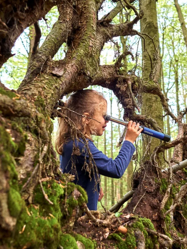 Ein Mädchen, umgeben von Wurzelwerk, erkundet sein Umfeld mit einem Fernrohr Inmitten von knorrigen Wurzeln beobachtet ein Mädchen neugierig die Umgebung mit einem blauen Teleskop in der Hand.