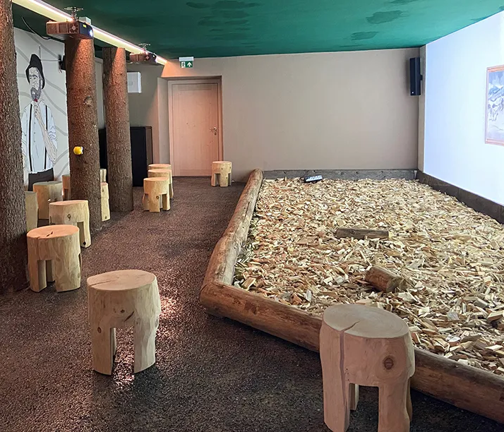 Holzweg-Station Waidlerkino: Einzigartiges Design und rustikale Elemente Waidlerkino im Rathaus der Gemeinde Neuschönau