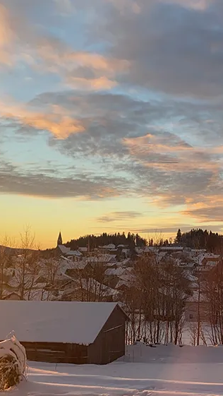 Winterliches Farbenspiel bei Sonnenaufgang über dem verschneiten Finsterau Blick auf Finsterau im Winter
