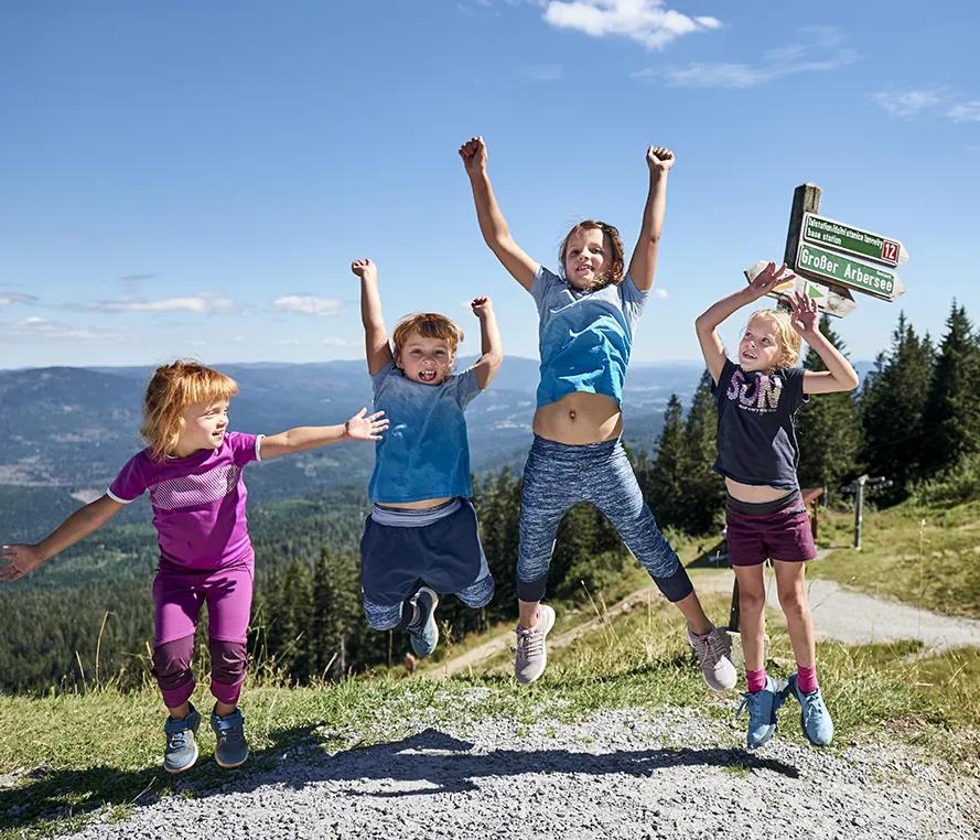 Aktive Kinder erleben Spaß und Freude in der Arberregion An einem herrlichen Sonnentag hüpfen vier Kinder voller Lebensfreude, während man dahinter die atemberaubende Aussicht auf die Berglandschaft erhaschen kann.