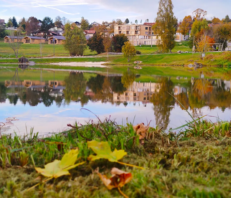 Idyllische Szene am Landschaftsweiher bei Neuschönau mit Herbstlaub im Vordergrund Landschaftsweiher Neuschönau