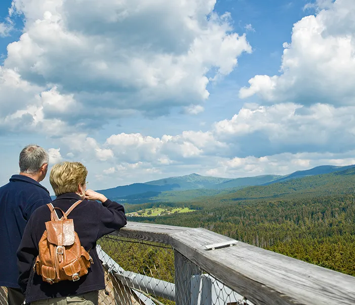Ein Paar genießt die Aussicht auf der Baumwipfelpfadplattform Ein Senioren-Paar steht am Geländer der Baumwipfelpfad-Plattform und blickt auf die Weite Nationalpark-Kulisse.dschaft unter einem bewölkten Himmel.