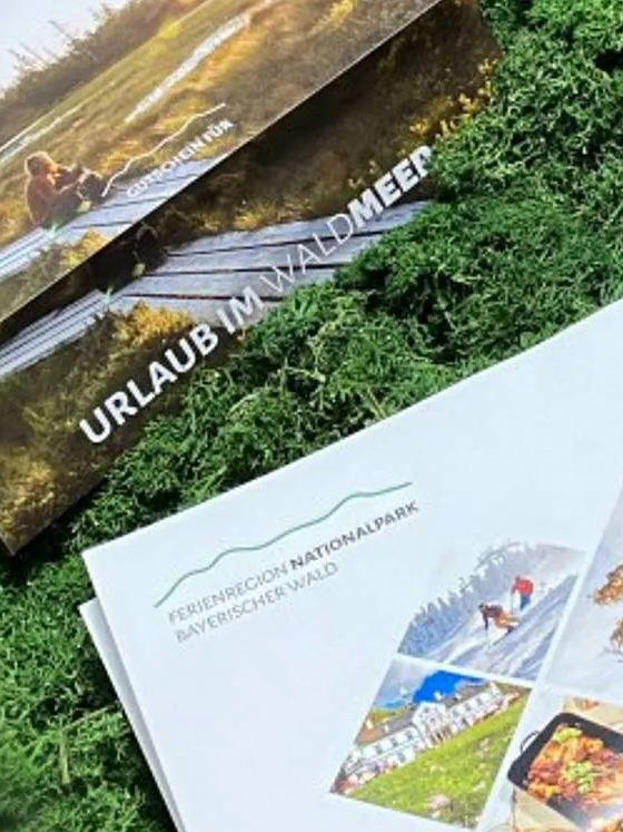 Schenke Freude mit Gutscheinen der Ferienregion "Vom Wald das Beste" Gutscheine der Ferienregion