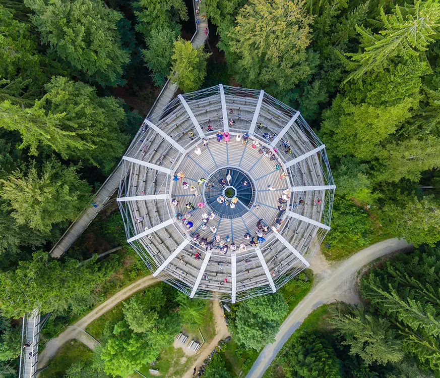 Atemberaubende Drohneaufnahme des Baumeis mit Pfad inmitten hellgrüner Baumumgebung Baumwipfelpfad in Neuschönau