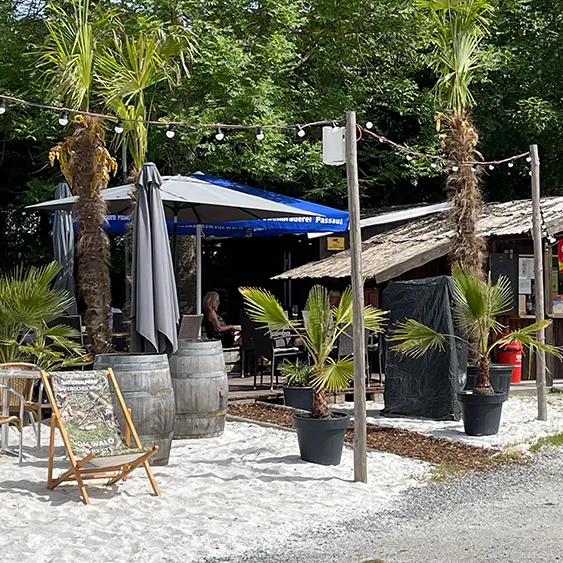 Gemütlicher Strandbereich an der BARdeWeiher in Neuschönau mit Palmen und Liegestühlen Bar beim Badeweiher in Neuschönau
