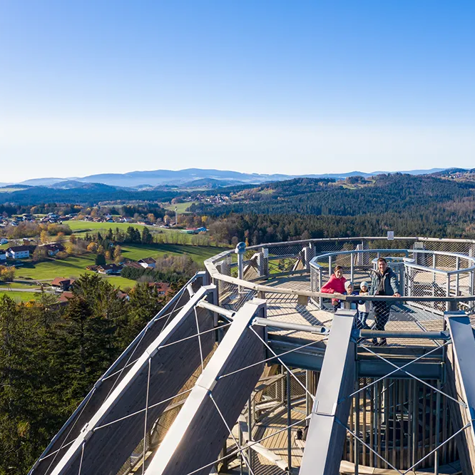 Entspannung, Freude und traumhafte Ausblicke auf dem Turm des Baumwipfelpfad Bayerischer Wald bei klarem Himmel Zwei Personen stehen auf der obersten Plattform am Baumei des Baumwipfelpfades in Neuschönau und genießen die atemberaubende Aussicht auf die umliegende Landschaft.