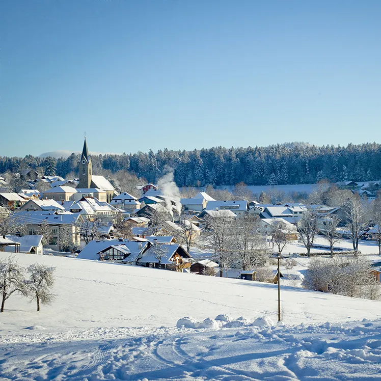 Panoramablick vom Rodelhang in der Holzgemeinde Neuschönau Die verschneite Landschaft rund um die Gemeinde Neuschönau