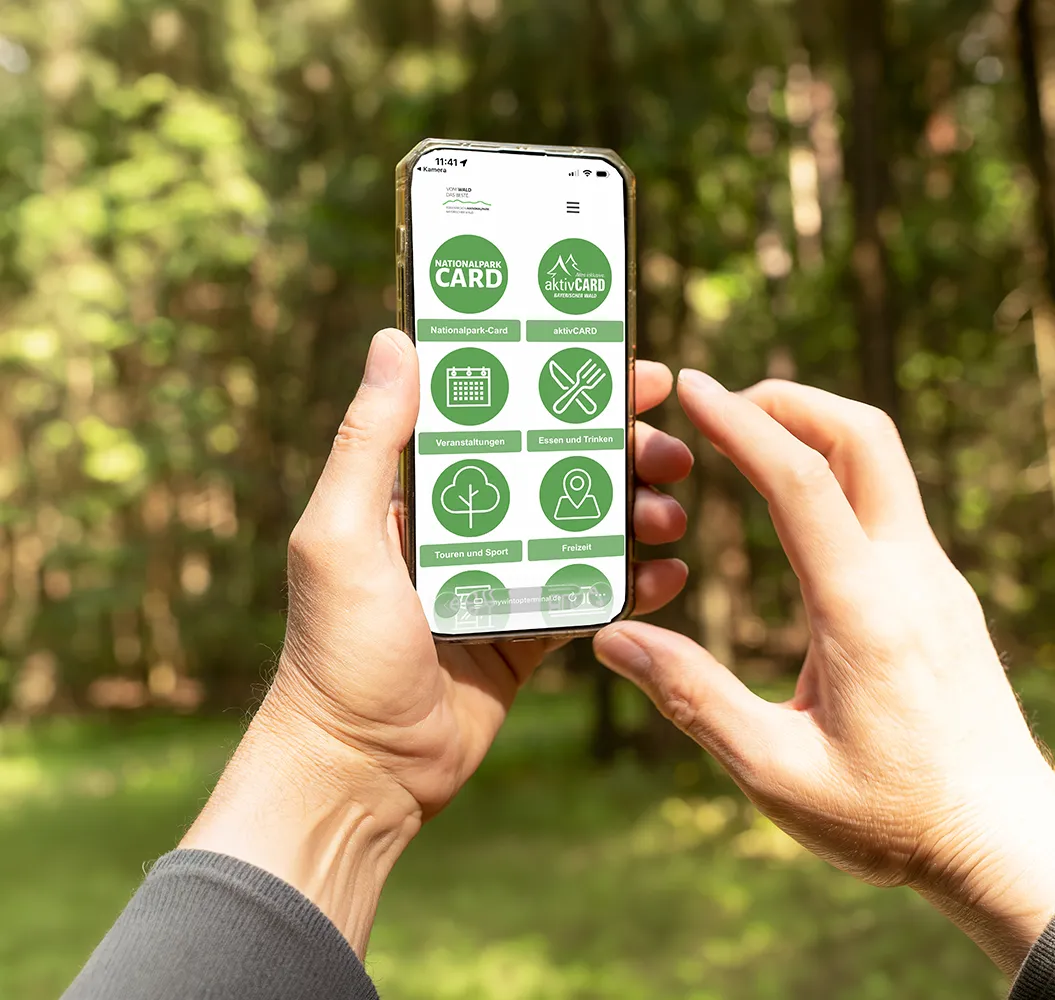 Person hält Handy in der Hand auf der man die Ansicht des digitalen Reiseführers sehen kann