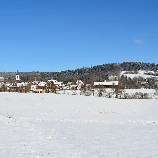 Verschneite Wiesen vor der malerischen Gemeinde Eppenschlag Winterliches Eppenschlag im Sonnenlicht