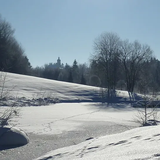 Kurpark mit See in Spiegelau im Winter pure weiße Winterlandschaft rund um den See im Kurpark in Spiegelau mit blauem Himmel als Krönung