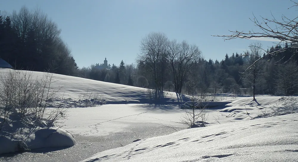 Schneedecke im Kurpark der Gemeinde Spiegelau Spiegelauer Kurpark im Winter